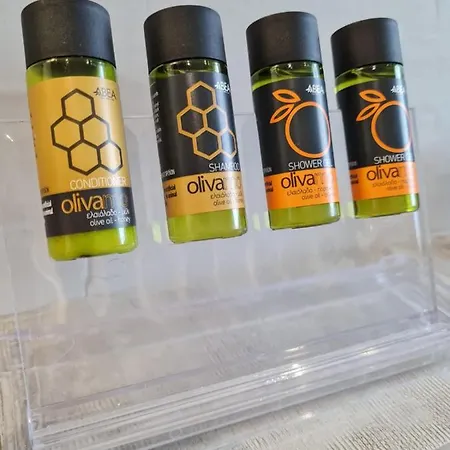 Marika's Penthouse Chania 公寓